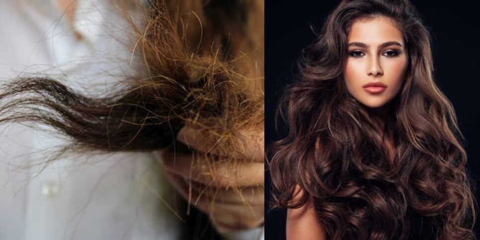 Cabelo ressecado e fios hidratados (Fotos: Reproduções / Freepik / Canva) Cabelo ressecado e fios hidratados (Fotos: Reproduções / Freepik / Canva)