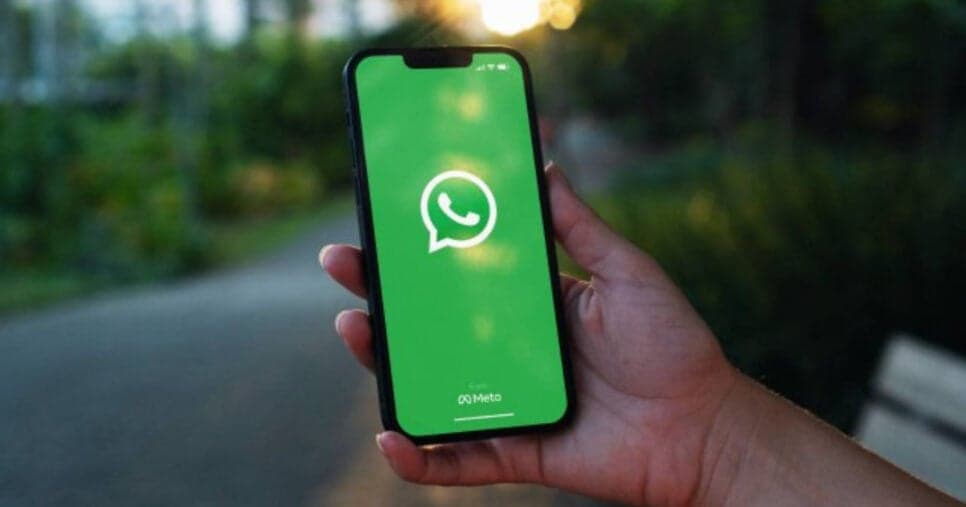 WhatsApp chega com alerta (Foto: Divulgação)