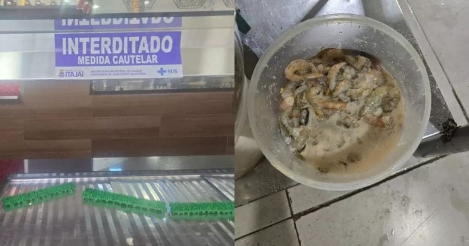 Restaurantes são interditados após nojeira e comida podre (Foto Reprodução/Montagem/Vigilância Sanitária) Restaurantes são interditados após nojeira e comida podre (Foto Reprodução/Montagem/Vigilância Sanitária)