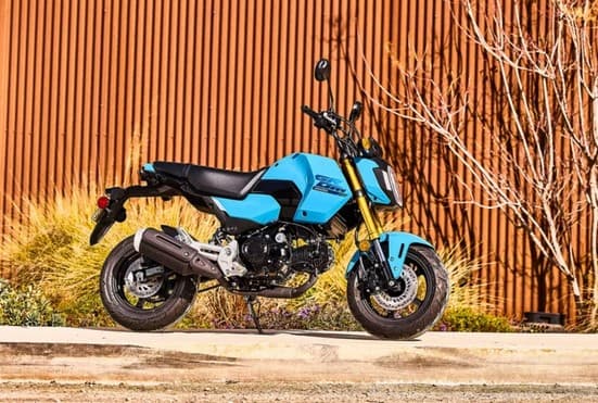 MSX125 Grom 2025 (Foto: Reprodução / Honda) MSX125 Grom 2025 (Foto: Reprodução / Honda)