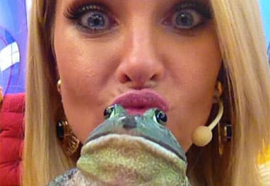 ana hickmann sapo