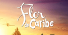 Flor do Caribe