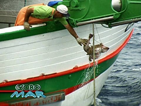 Globo Mar
