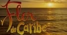flor-do-caribe