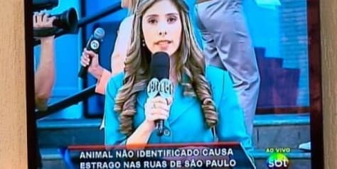 "Programa Silvio Santos" estreia nova pegadinha "Programa Silvio Santos" estreia nova pegadinha