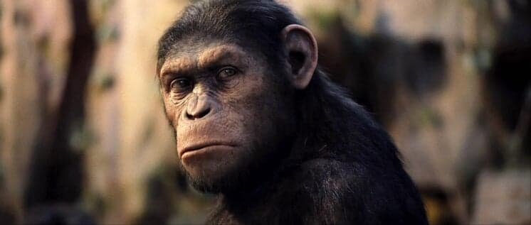 "Planeta dos Macacos: O Confronto" tem um milhão de pagantes e estreia em primeiro lugar