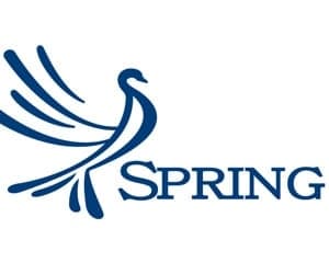 Spring e o novo projeto