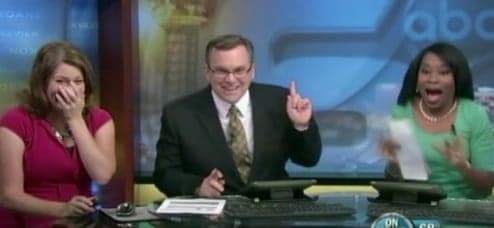 Vídeo da Hora: Morcego invade estúdio de TV nos EUA e apresentadores levam susto