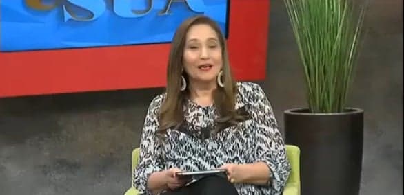Sonia Abrão rebate críticas de colunistas: "Não entendem nada de TV"