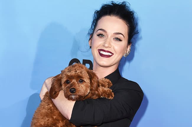 Vaza na internet o número do celular da cantora Katy Perry