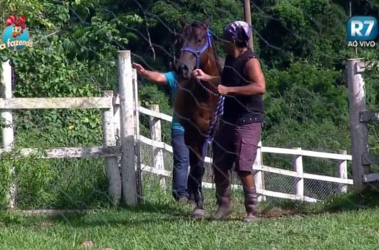 "A Fazenda": Luka se emociona com a égua Lena e declara: "Gostei de te conhecer"