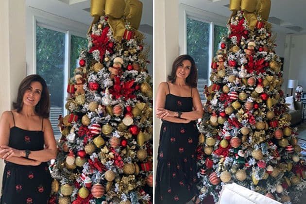 Fátima Bernardes abre a casa e mostra árvore de natal