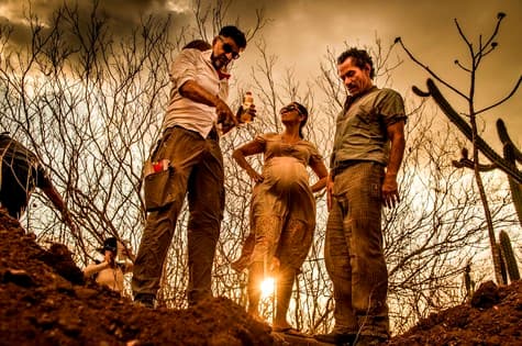 Luiz Fernando Carvalho inicia gravações de “Velho Chico”: ‘uma declaração de amor à nossa terra’