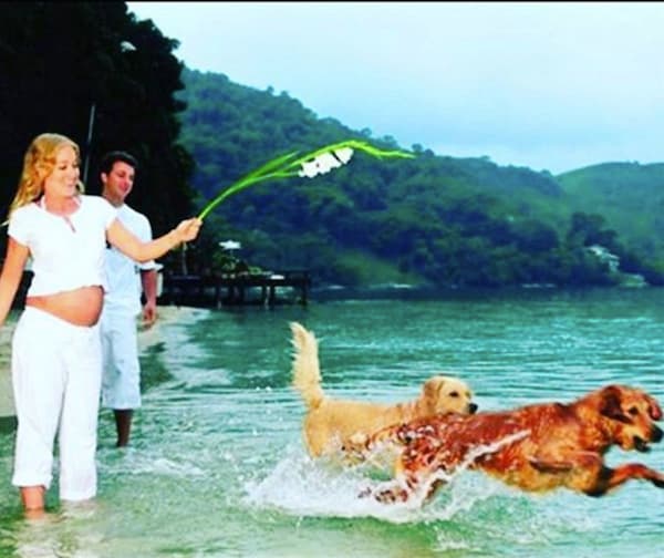 Luciano Huck e Angélica lamentam falecimento de cachorra doada por Xuxa