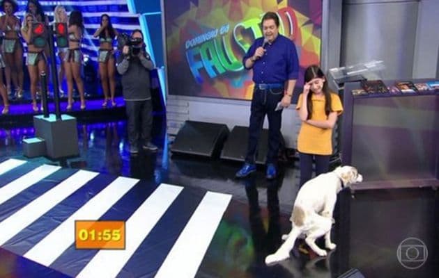 Mico! Cachorro faz necessidades no palco de Faustão