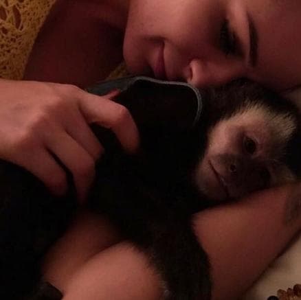 Após boatos de affair com Latino, Mendigata posa com macaco do cantor