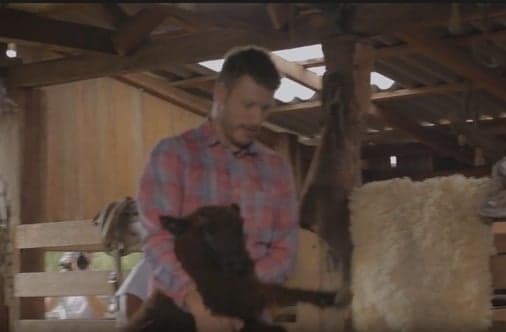 Além de ovelha, Rodrigo Hilbert matou outros bichos e emissora resolve cortar mais cenas, afirma colunista