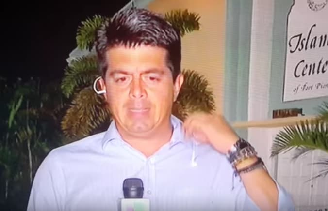 Repórter é surpreendido por barata voadora ao vivo; confira