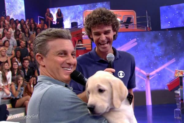 Após piadas na web, Luciano Huck presenteia Guga com filhote de labrador