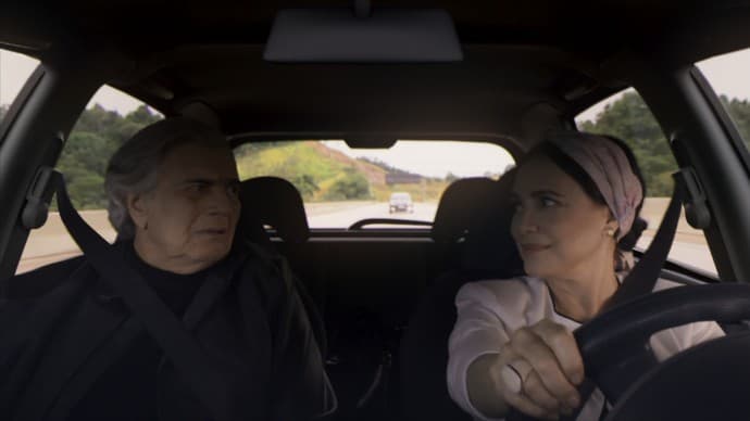 "A Lei do Amor": Suzana morre e Fausto fica em estado vegetativo após atentado