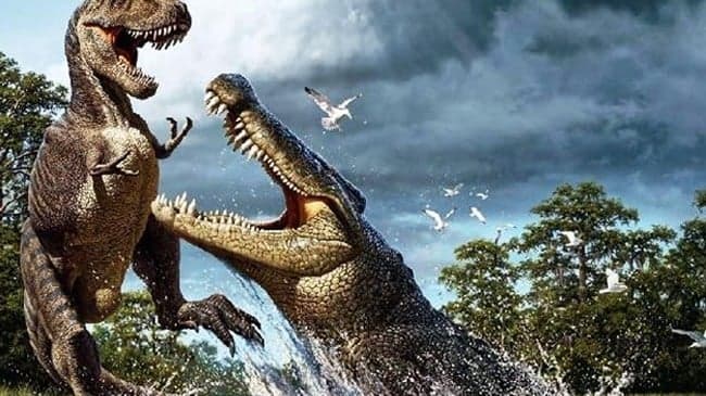 Produtora busca no exterior parceria para mostrar a riqueza natural do Brasil
