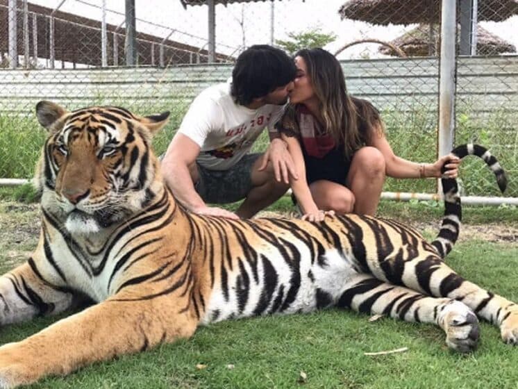 Patrícia Abravanel posa com tigre e internautas detonam