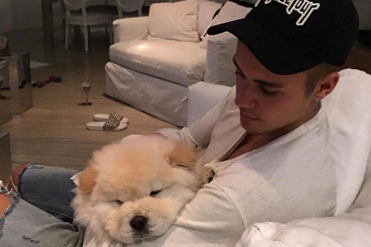 Justin Bieber compra cachorro e o abandona por causa de doença