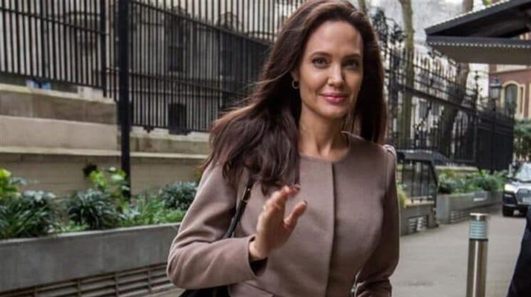 Angelina Jolie se torna professora universitária