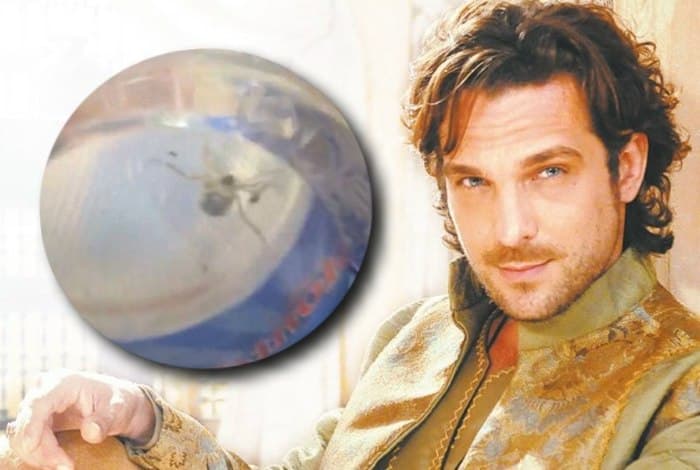 Inseto na água é encontrado em bastidores de novela da Record