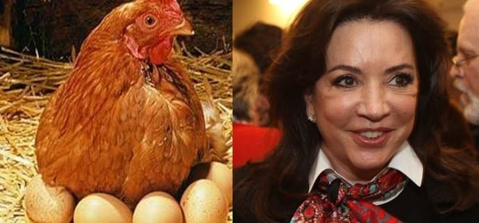 Exclusivo: Íris Abravanel intervém no SBT e manda criar galinheiro na emissora; entenda