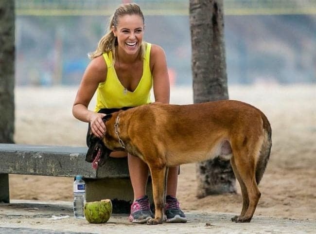 Paolla Oliveira quer adotar cão de "A Força do Querer"