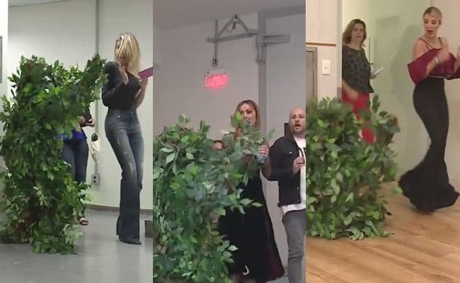 Fábio Porchat se veste de samambaia humana e assusta apresentadores da Record