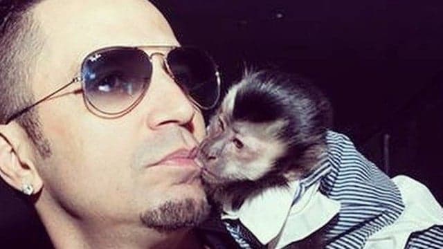 Macaco de Latino vira celebridade e conquista muitos seguidores em rede social