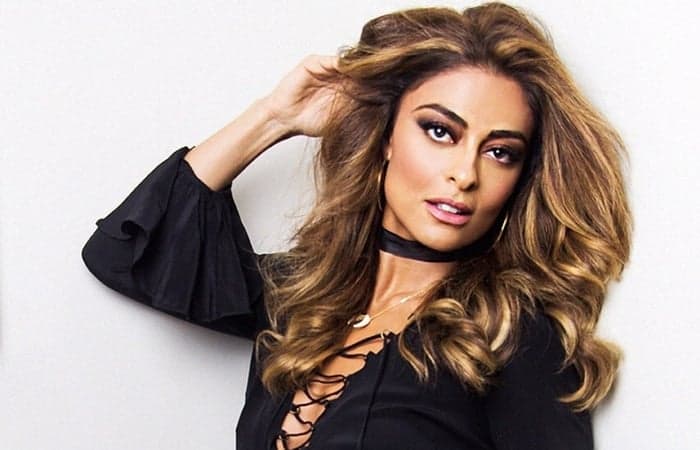 Simpáticos! Veja 4 celebridades acessíveis com a imprensa e os fãs
