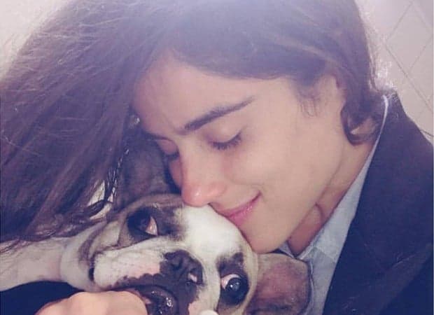 Camilla Camargo fala sobre cãozinho deficiente e deixa fãs comovidos na internet