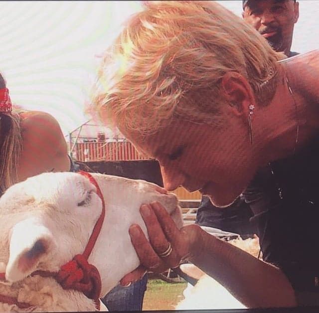 Xuxa visita "A Fazenda", conhece a sede e dá banho nas ovelhas