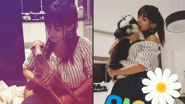 Anitta responde acusação de que estaria usando droga: "Pior é bater palma pra macaco dançar"