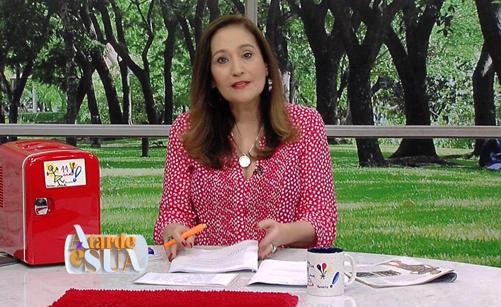 A Tarde é Sua de Sonia Abrão marcou ótima audiência (Crédito/Foto: Divulgação/RedeTV!) A Tarde é Sua de Sonia Abrão marcou ótima audiência (Crédito/Foto: Divulgação/RedeTV!)