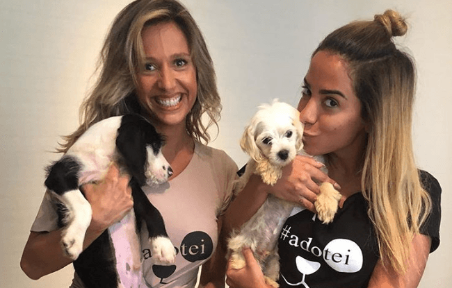 Anitta surpreende e adota dois cães resgatados por Luisa Mell: 'Exemplo para milhões de fãs'