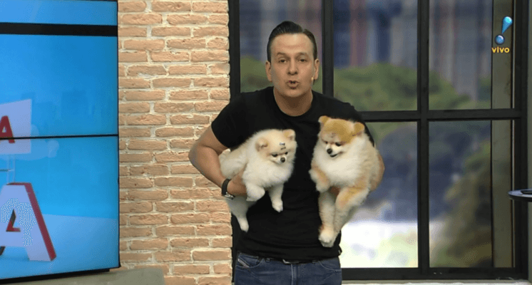 Estreia agitada do Fala Zuca, na RedeTV, gera diversos comentários nas redes sociais: "acelerado demais"