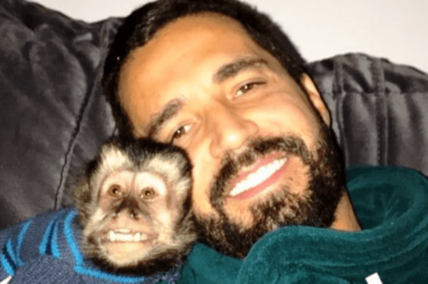 De luto por macaco, Latino reflete sobre a vida e faz desabafo