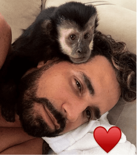Latino aparece ao lado de seu macaco morto e revela: "Sem chão"