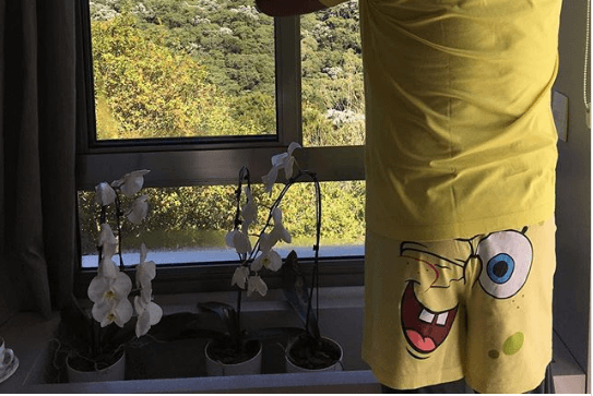 Apresentador aparece usando cueca do Bob Esponja e vira piada na web