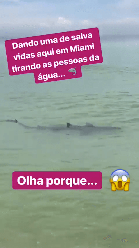 Publicação de Rodrigo Faro (Foto: Reprodução/ Instagram) Publicação de Rodrigo Faro (Foto: Reprodução/ Instagram)