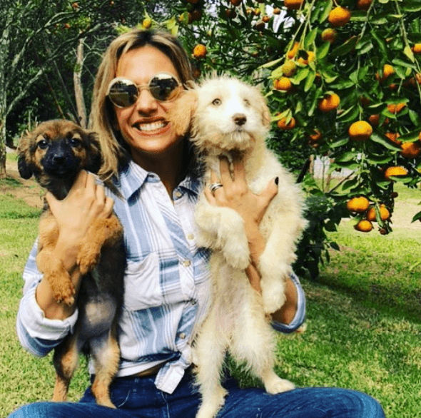 Em vídeo, Luisa Mell anuncia que não está mais na Band: "Eu sou uma ativista, eu causo muitos problemas"