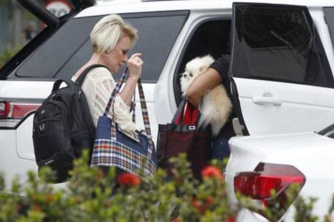 Poderosa, Ana Maria Braga é flagrada em jatinho particular de R$ 7,5 milhões no Rio