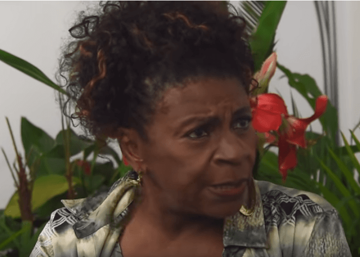 Zezé Motta comenta sobre racismo: ‘Falta muito espaço para o negro na mídia’