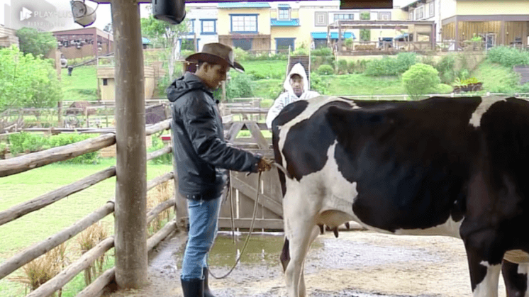 A Fazenda 10: Rafael Ilha fica traumatizado com coice de vaca e lamenta situação