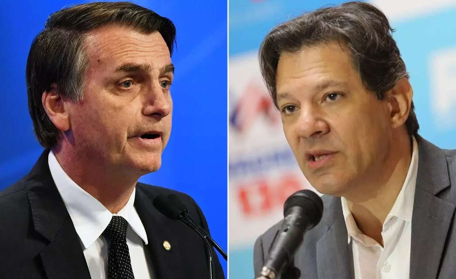Famosos que apoiam Bolsonaro e Haddad (Foto: Reprodução) Famosos que apoiam Bolsonaro e Haddad (Foto: Reprodução)