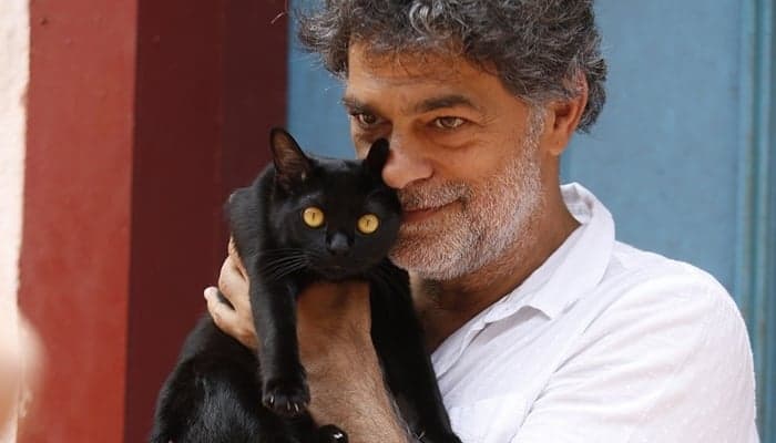Gato protagonista da novela O Sétimo Guardião, León terá três versões; entenda